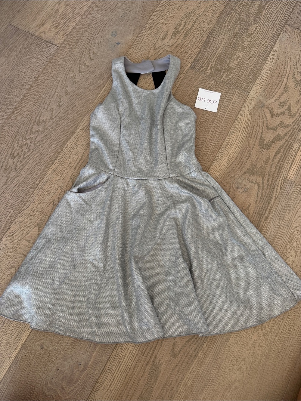 Zoe Ltd Silver Sleeveless Fit & Flare Party Dress